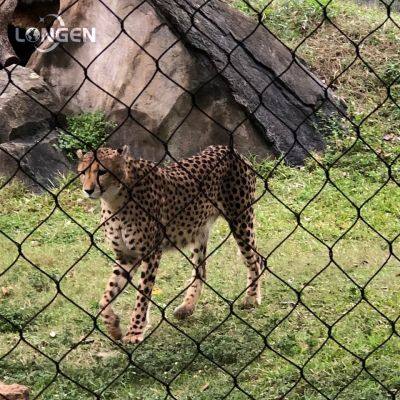 Zoo Mesh - Нержавеющая стальная втулка и узелковая сетка для зооэнклоузур и птицаря