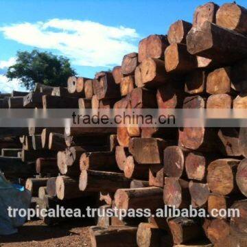 Hot price Pterocarpus Cambodia wood