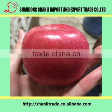 organic red apple (long-term cooperation with India)