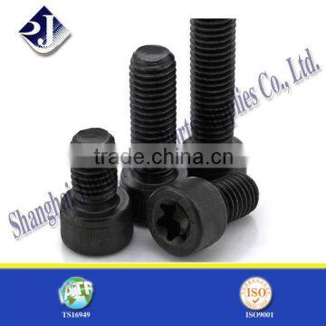 T15 Torx Screw