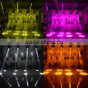 13/46CH 8*10W RGBW 4in1/whit DMX 512 Beam Led Spider Beam Moving Head Hot Sale Beam Light photo-5
