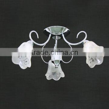 NEW!!!!! Modern chandelier&ceiling light with drop flower for living room