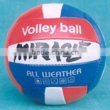 Adult Hand Stitched Volleyball