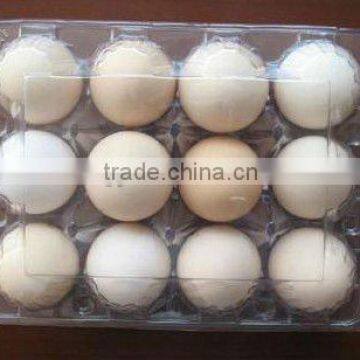 Vacuum Forming Machine For Food Container