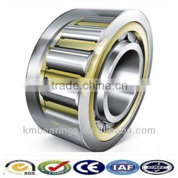 High Precision Cylindrical Roller Bearing NU304