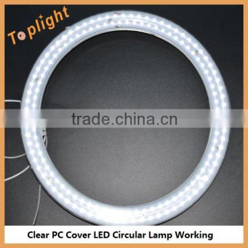 Warm white 2500K Newest Price LED Circline Lamp 85-277V 8 inch 10W