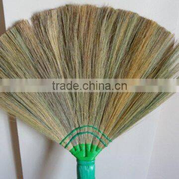 Broom Stick Flower