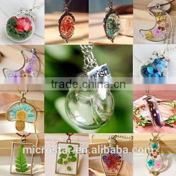 Real Dried Flower Dandelion Seeds Lucky Glass Wishing Flower Shaped Bottle Pendant Necklace