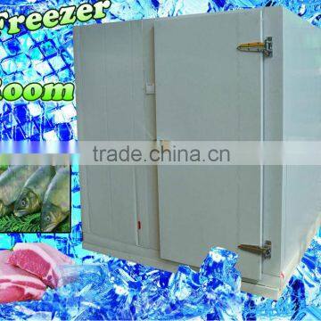 Freezer room for meat and fish -25C