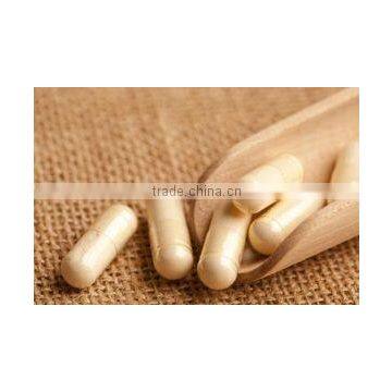 ISO Certified Ashwagandha Capsules (Natural Vitamin C & Appetizer) Bulk Exporters photo-4