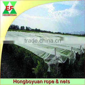 hdpe mesh anti hail net to protect tree