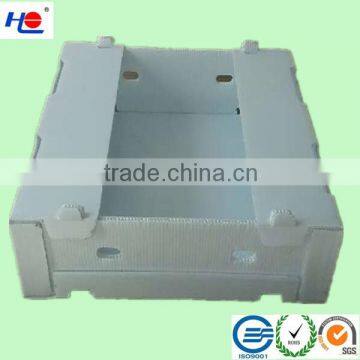PP Corrugated Grape Boxes/Fruit Boxes