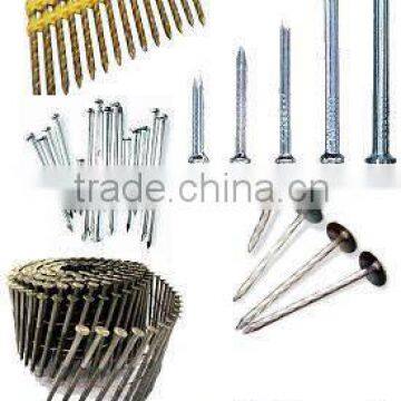 galvanized nail coil nail