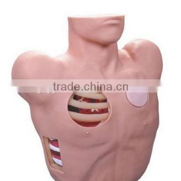 Thoracentesis drainage models , medical teaching models