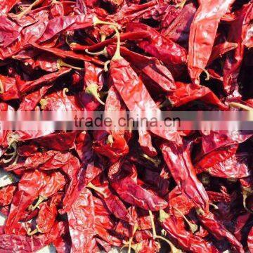 Yidu Chili