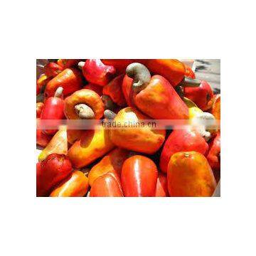 Raw Cashew With Shells photo-3