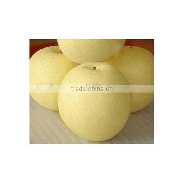 Crown pear / Golden pear