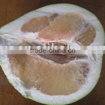 Chinese Honey pomelo