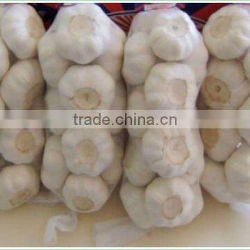 Fresh garlic in China