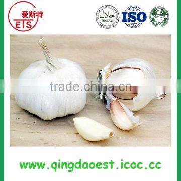 Fresh White Garlic Size :4.5-6.0 cm photo-4