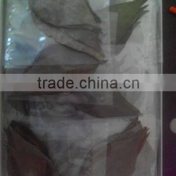 Dried Amaranth Leaves / Powder