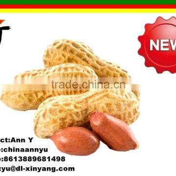 Wholesale Good Quality Peanuts Importers photo-2