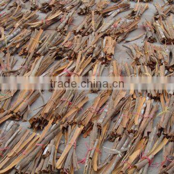 Cassia thin and hot split, tube and broken
