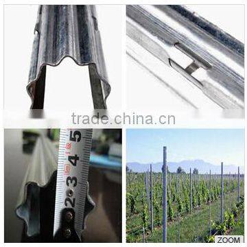 High quality galvanized vineyard stake factory good price