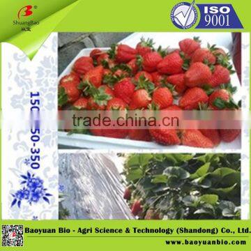 Clear Solution Liquid NPK Fertilizer 500g/L photo-3