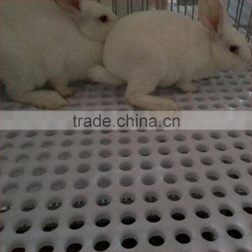 rabbit cage flooring