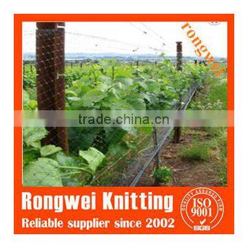 Extruded bird protection netting square mesh 10x10mm