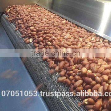 PEANUT ROASTING MACHINE (Model: EVRO 2500) photo-2