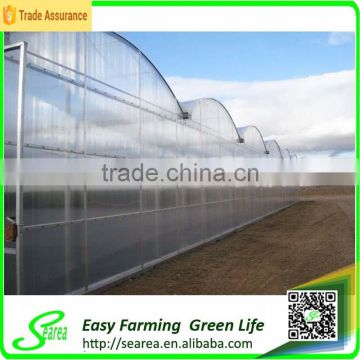 Polycarnonate sheeting greenhouse for sale