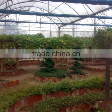Small Size and PE Material Low Cost Greenhouse photo-6