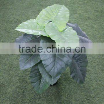 Brand Name Artificial Bonsai Plants Artificial Wild Taro Bonsai Decor photo-4