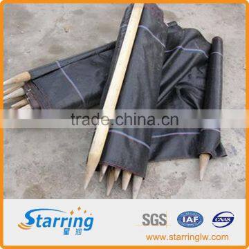 Best Price High Quality ASTM Standard Woven Geotextile photo-3