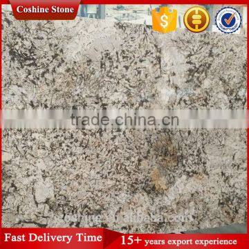 2cm Juparana Antique Persa Brown Granite Slab photo-3
