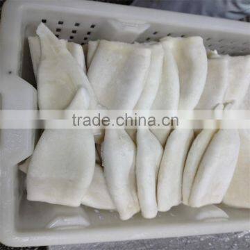 IQF U10 Pacific Squid Tube photo-6