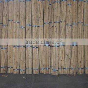 Rattan Malacca cane pole