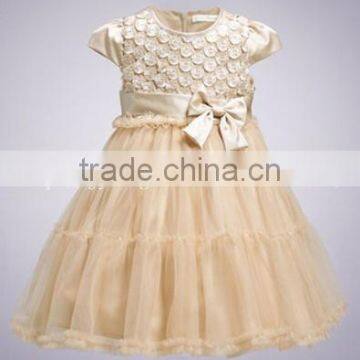 girl Princess dress party dress