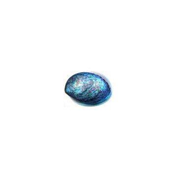 Sell Live Abalone And Its Shells (South Korea)