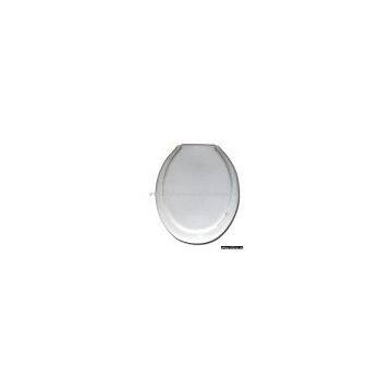 toilet seat