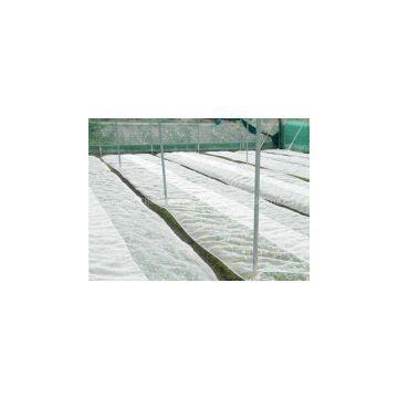 Sell Fiberglass Insect Screen