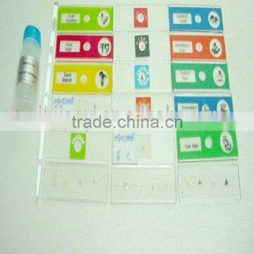 children plastic slides for education medical science study