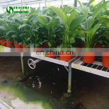 High Efficient Thailand Orchid Nursery With Easy Operate photo-3