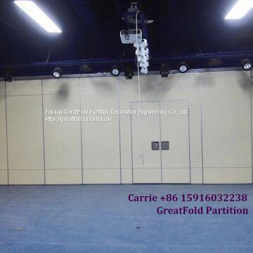 Factory Directly Sell Office Partition Grass Wall Building Material Panels Dividers for Exhibition Halls