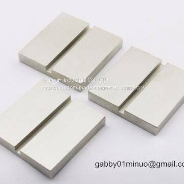 Custom Made Neodynium-rare Earth Magnet