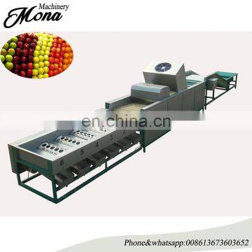 Olive size grading machine/oval fruit grader from fruit process machines