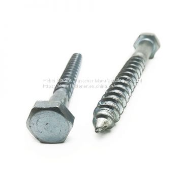 Wood Screw  Carbon Steel Wood Screw  DIN Wood Screw for sale