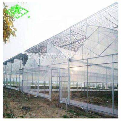 Qingtian Blue High Impact Resistance 200micron Plastic Reinforced Film for Greenhouse Po Film photo-1